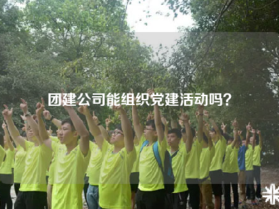 团建公司能组织党建活动吗？