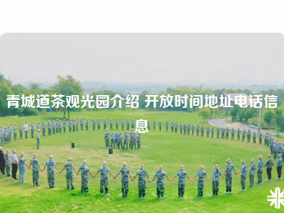 青城道茶观光园介绍 开放时间地址电话信息