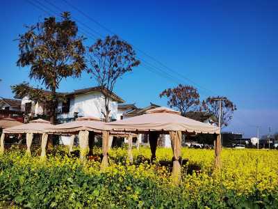 南岸美村介绍 开放时间地址电话信息