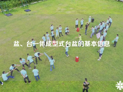 盆、台一体成型式台盆的基本信息