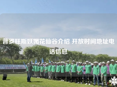 普罗旺斯妖媚花仙谷介绍 开放时间地址电话信息
