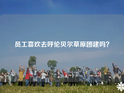 员工喜欢去呼伦贝尔草原团建吗？