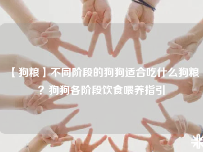 【狗粮】不同阶段的狗狗适合吃什么狗粮？狗狗各阶段饮食喂养指引