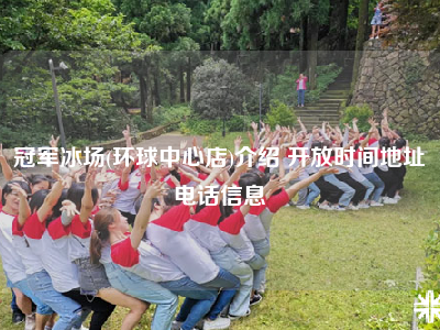 冠军冰场(环球中心店)介绍 开放时间地址电话信息