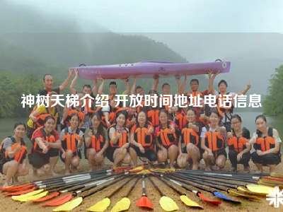 神树天梯介绍 开放时间地址电话信息