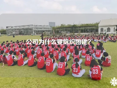 公司为什么要组织团建？