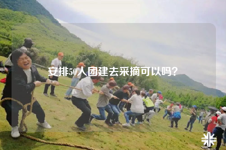 安排50人团建去采摘可以吗？