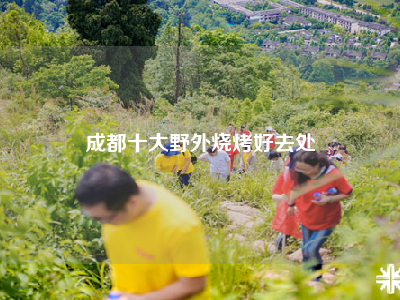 成都十大野外烧烤好去处