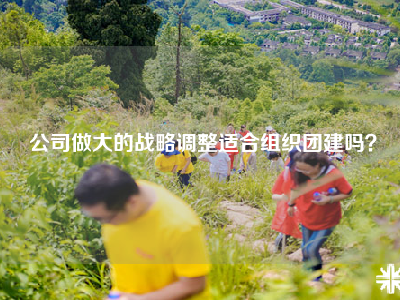 公司做大的战略调整适合组织团建吗？