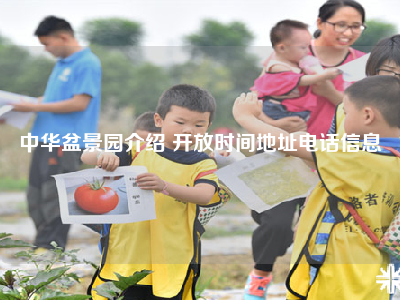 中华盆景园介绍 开放时间地址电话信息
