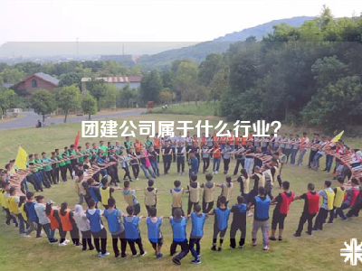 团建公司属于什么行业？