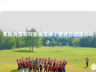 单板滑雪和双板滑雪哪个更适合团建活动？