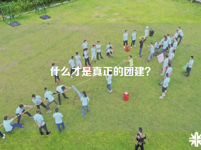 什么才是真正的团建？