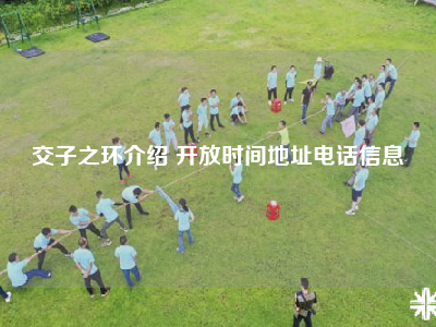 交子之环介绍 开放时间地址电话信息