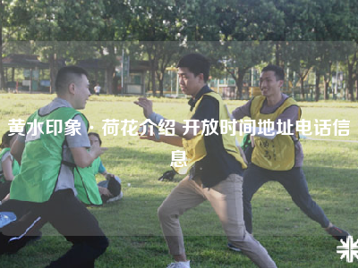 黄水印象·荷花介绍 开放时间地址电话信息
