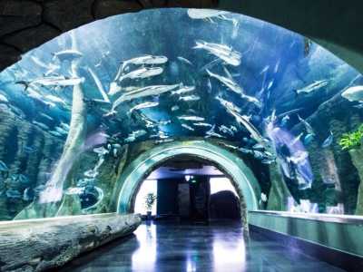 海滨城浩海立方海洋公园介绍 开放时间地址电话信息