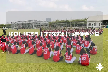 拓展训练项目【击鼓颠球】心得体会分享