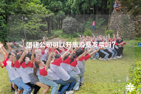 团建公司可以开旅游费发票吗？