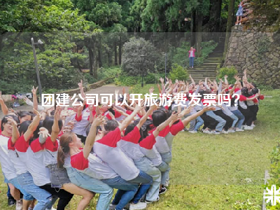 团建公司可以开旅游费发票吗？
