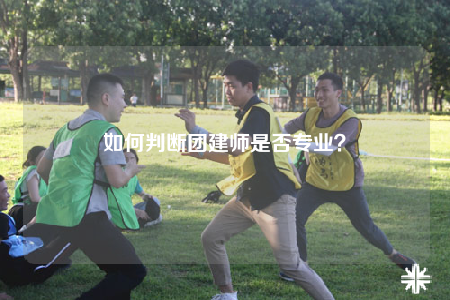 如何判断团建师是否专业？
