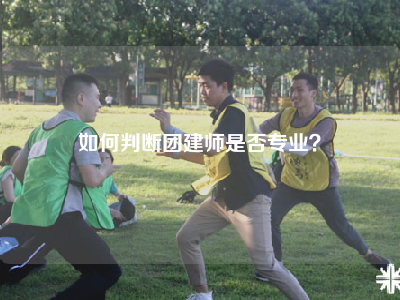 如何判断团建师是否专业？