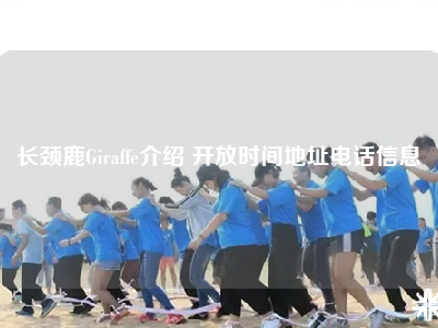长颈鹿Giraffe介绍 开放时间地址电话信息