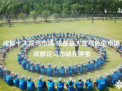 成都十大花鸟市场 成都最大花鸟鱼虫市场 成都花鸟市场在哪里