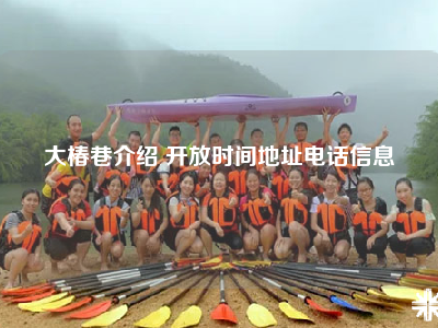 大椿巷介绍 开放时间地址电话信息