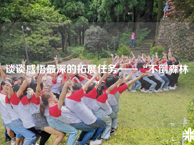 谈谈感悟最深的拓展任务——“不倒森林”