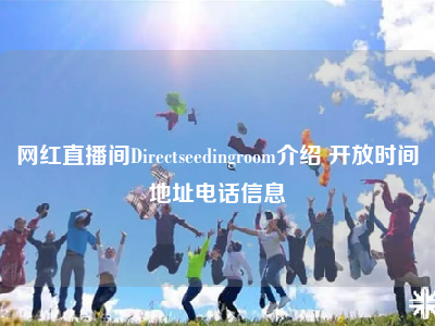 网红直播间Directseedingroom介绍 开放时间地址电话信息