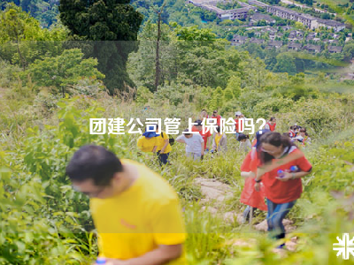 团建公司管上保险吗？