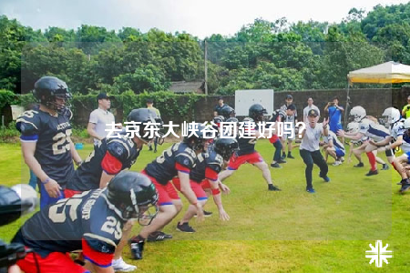 去京东大峡谷团建好吗？