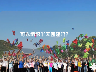 可以组织半天团建吗？