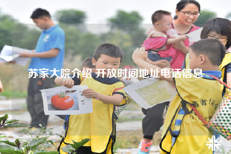 苏家大院介绍 开放时间地址电话信息