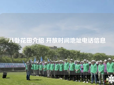 八卦花田介绍 开放时间地址电话信息