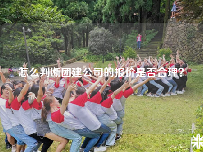 怎么判断团建公司的报价是否合理？