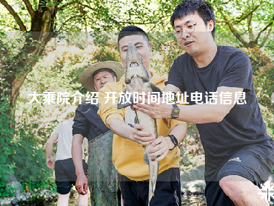 大乘院介绍 开放时间地址电话信息