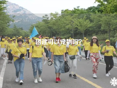 团建可以宠物吗？