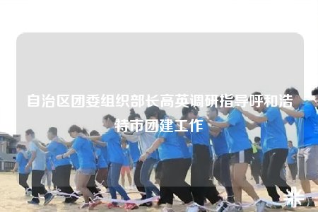 自治区团委组织部长高英调研指导呼和浩特市团建工作