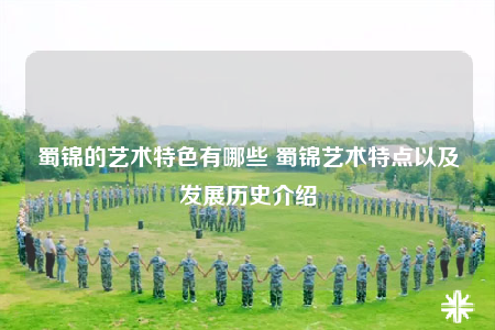 蜀锦的艺术特色有哪些 蜀锦艺术特点以及发展历史介绍