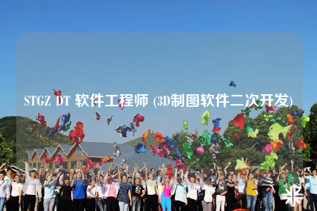 STGZ DT 软件工程师 (3D制图软件二次开发)