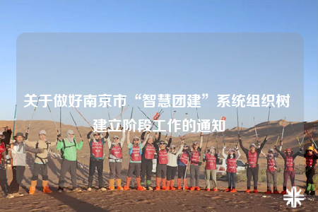 关于做好南京市“智慧团建”系统组织树 建立阶段工作的通知