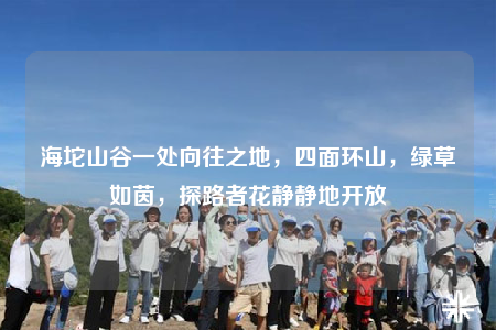 海坨山谷一处向往之地，四面环山，绿草如茵，探路者花静静地开放