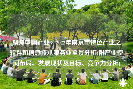 聚焦中国产业：2022年南京市特色产业之软件和信息技术服务业全景分析(附产业空间布局、发展现状及目标、竞争力分析)
