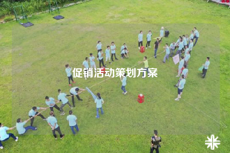 促销活动策划方案