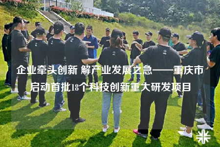 企业牵头创新 解产业发展之急——重庆市启动首批18个科技创新重大研发项目