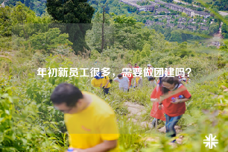 年初新员工很多，需要做团建吗？