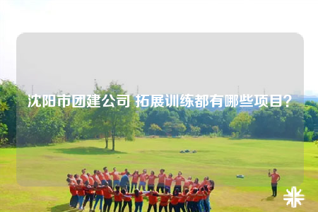 沈阳市团建公司 拓展训练都有哪些项目？