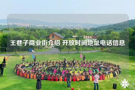 王巷子商业街介绍 开放时间地址电话信息