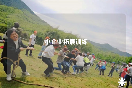 小企业拓展训练